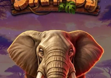 Super Stampede — automat Afkspin